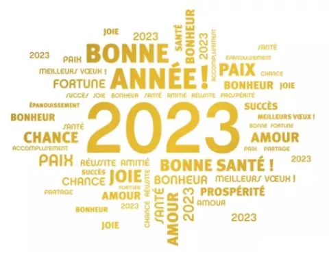 bonne année